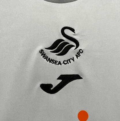 Swansea 2023/24  Principal
