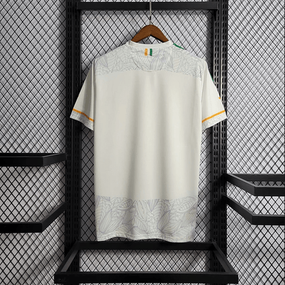 Ivory Coast 2022/23
