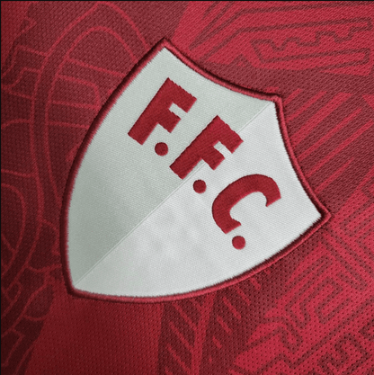 Fluminense 23/24 Alternative